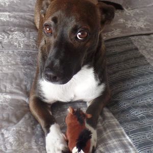 Meet your Posher, Kerry